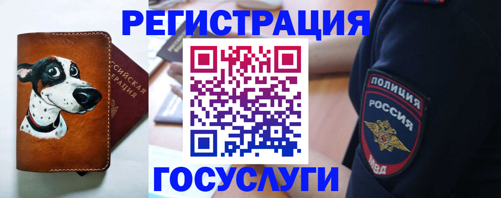 временная регистрация в квартире в Новочебоксарске